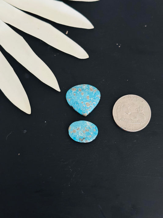 Blue Bird Turquoise Cabs