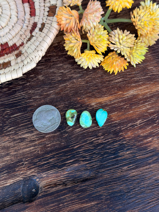 Sonoran Mountain Turquoise Cabs