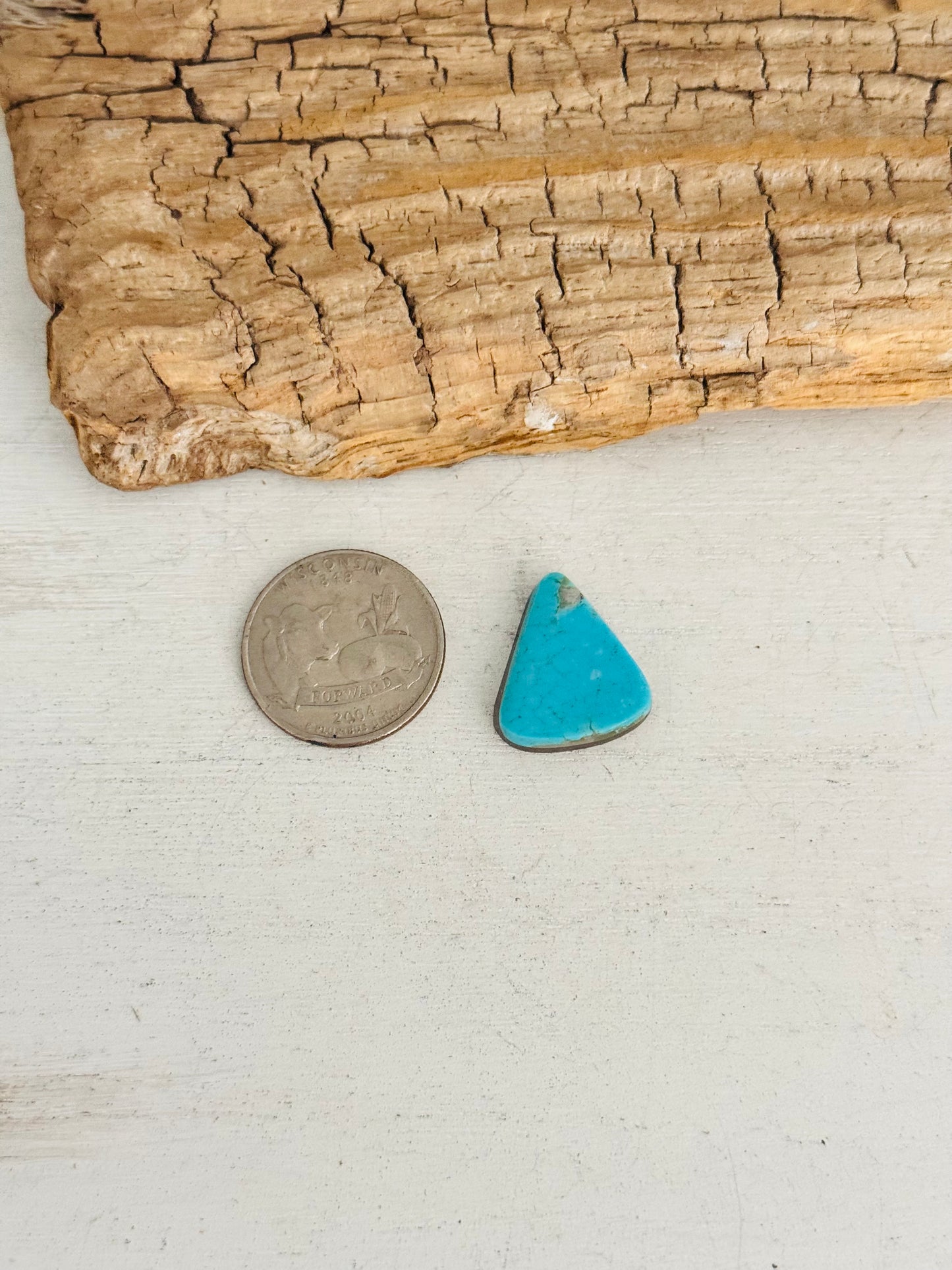 Natural Kings Manassa Turquoise Cab
