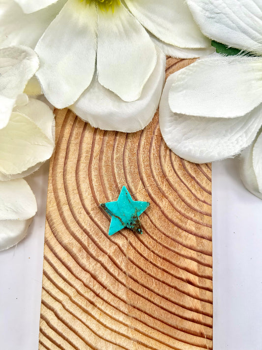 Red Skin Turquoise Cab