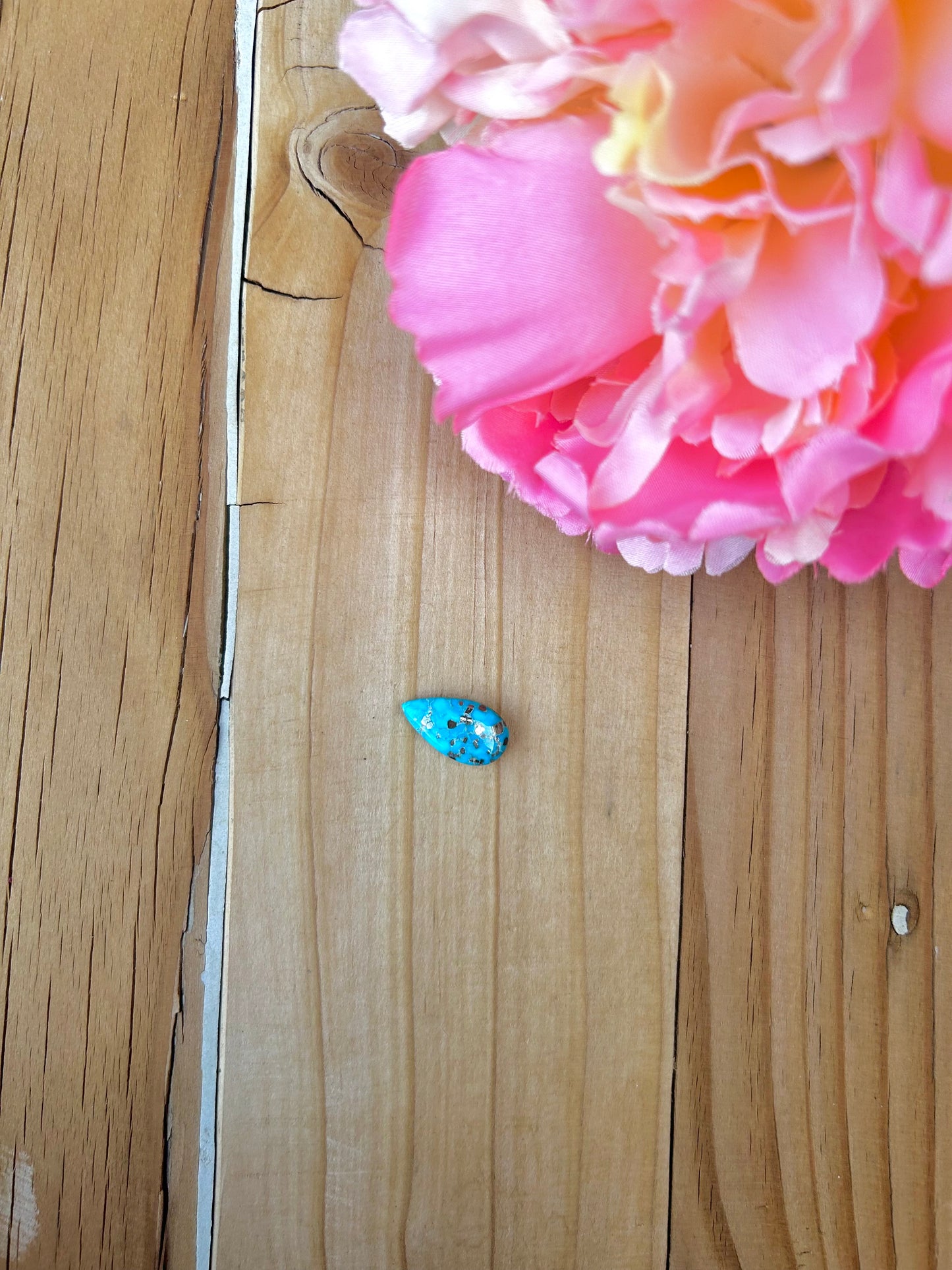 Blue Bird Turquoise Cabs
