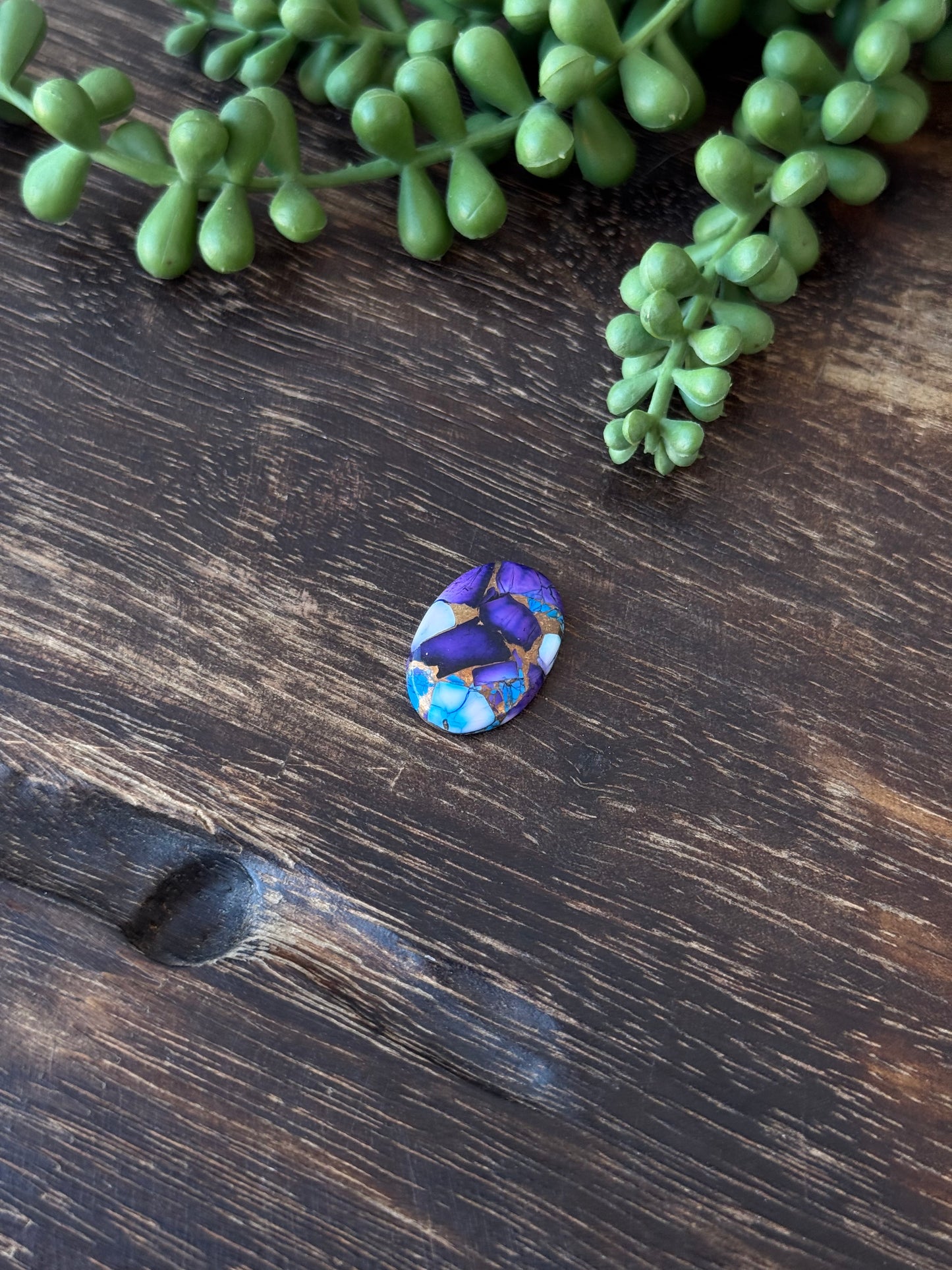 Purple Dahlia Composite Cabs