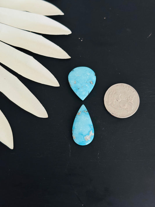 Blue Bird Turquoise Cabs