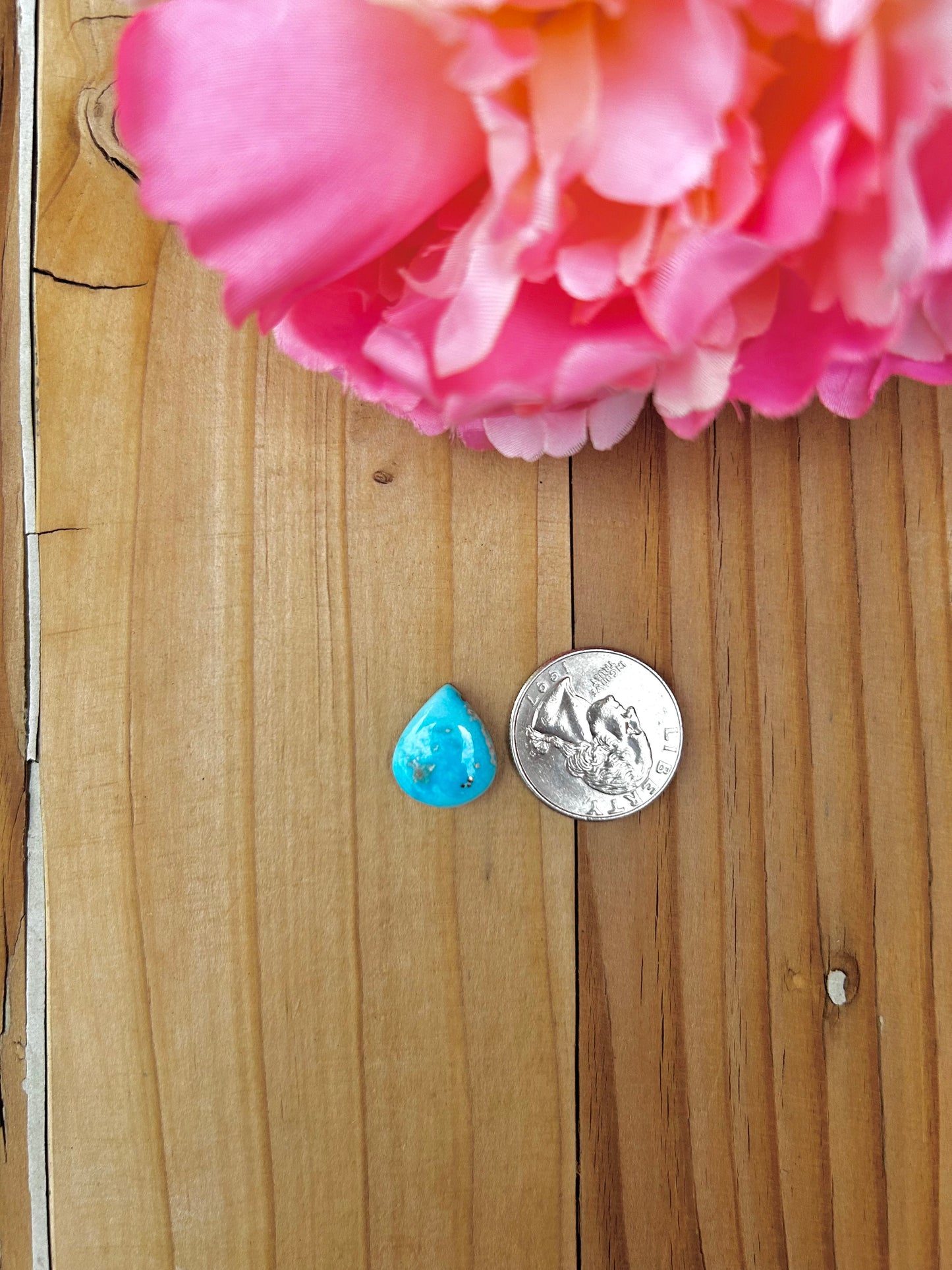 Blue Bird Turquoise Cabs