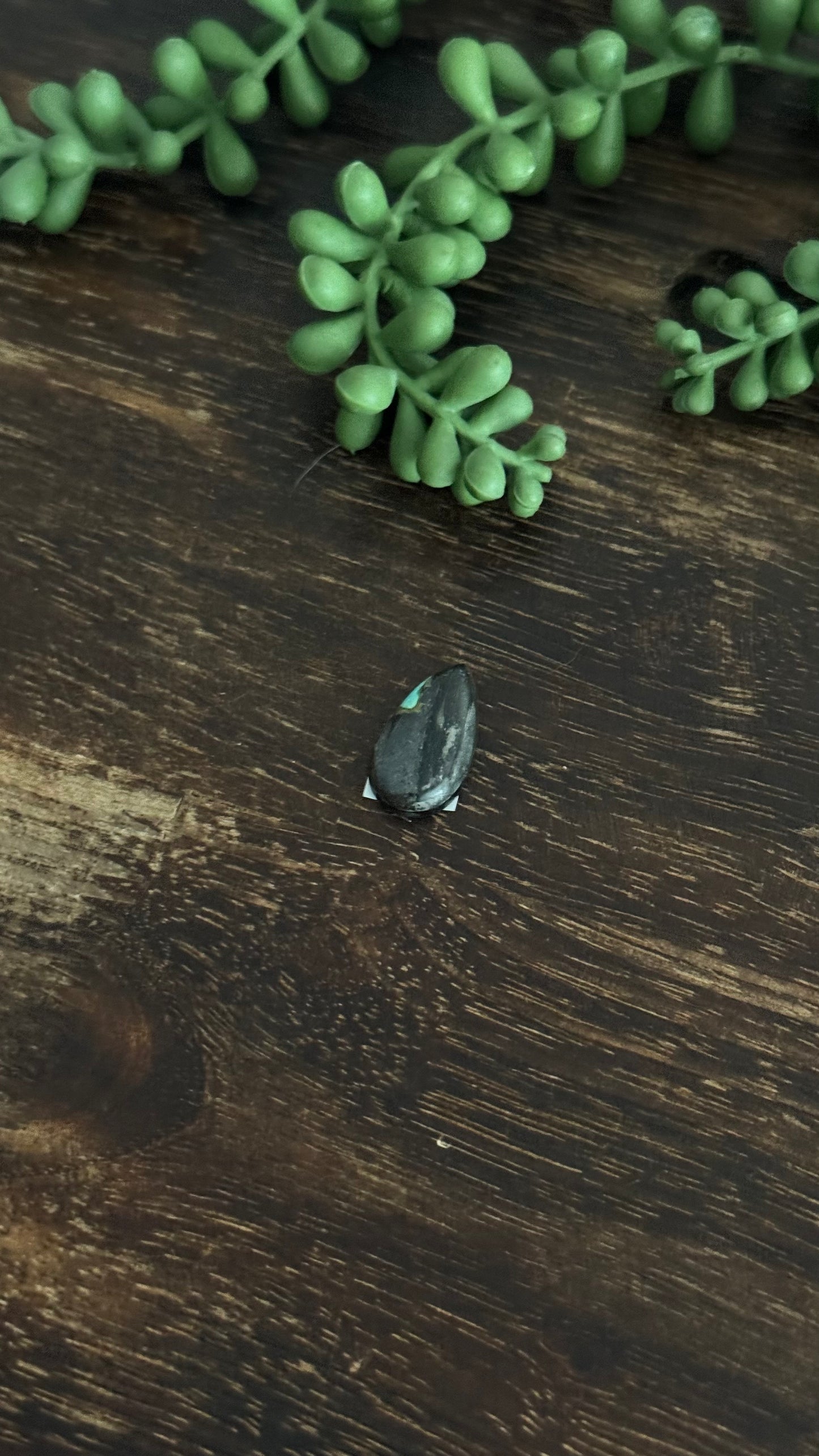 Black Jack Turquoise Cab