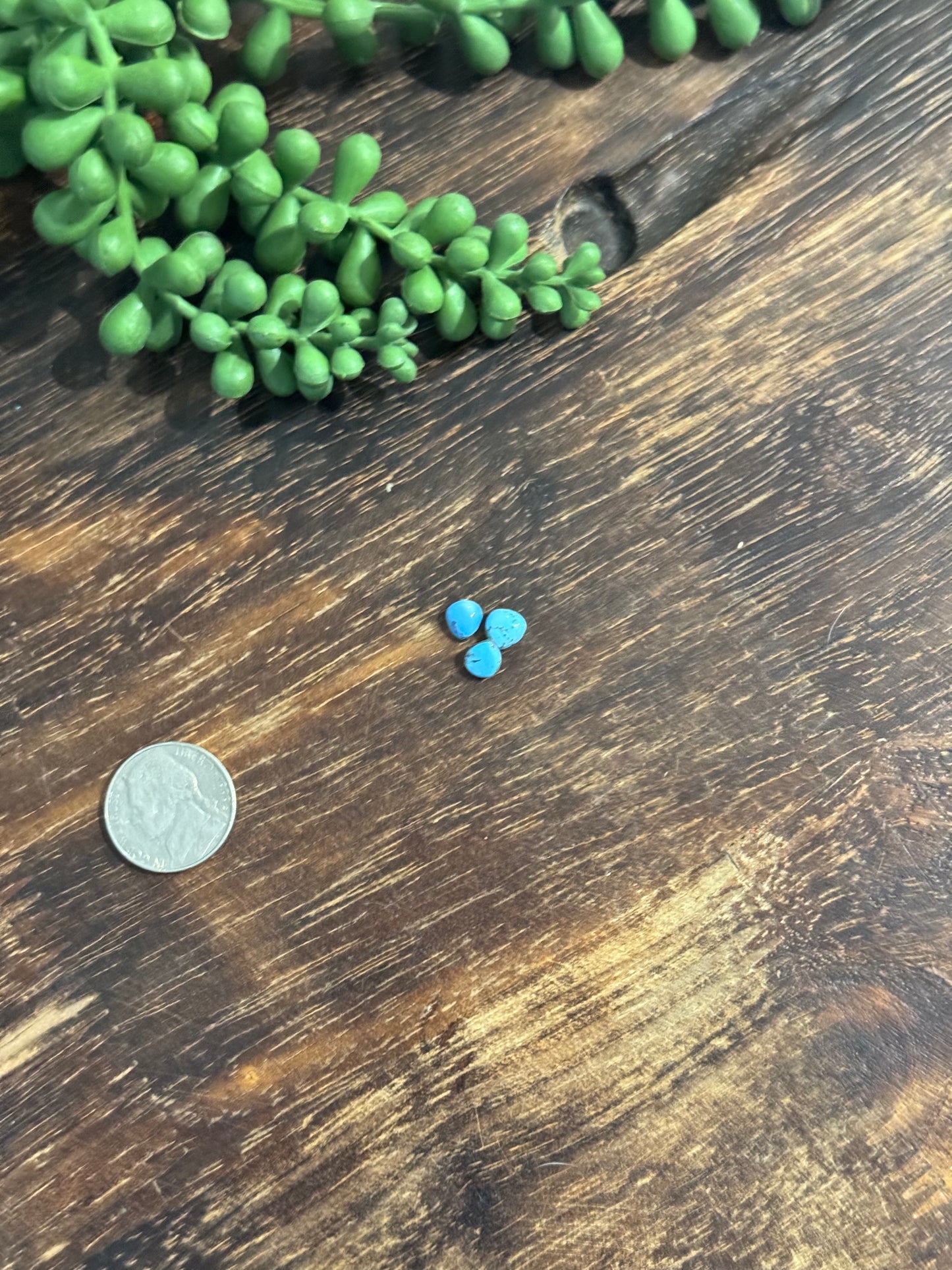 Golden Hills Turquoise Cabs