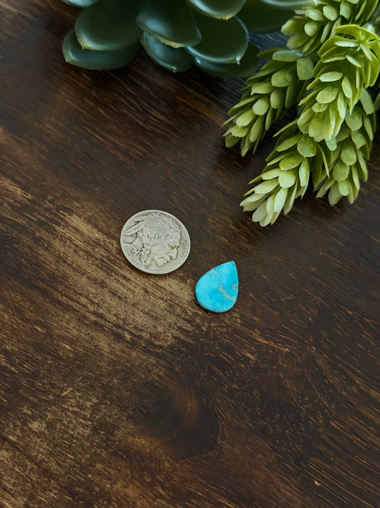 Blue Bird Turquoise Cab