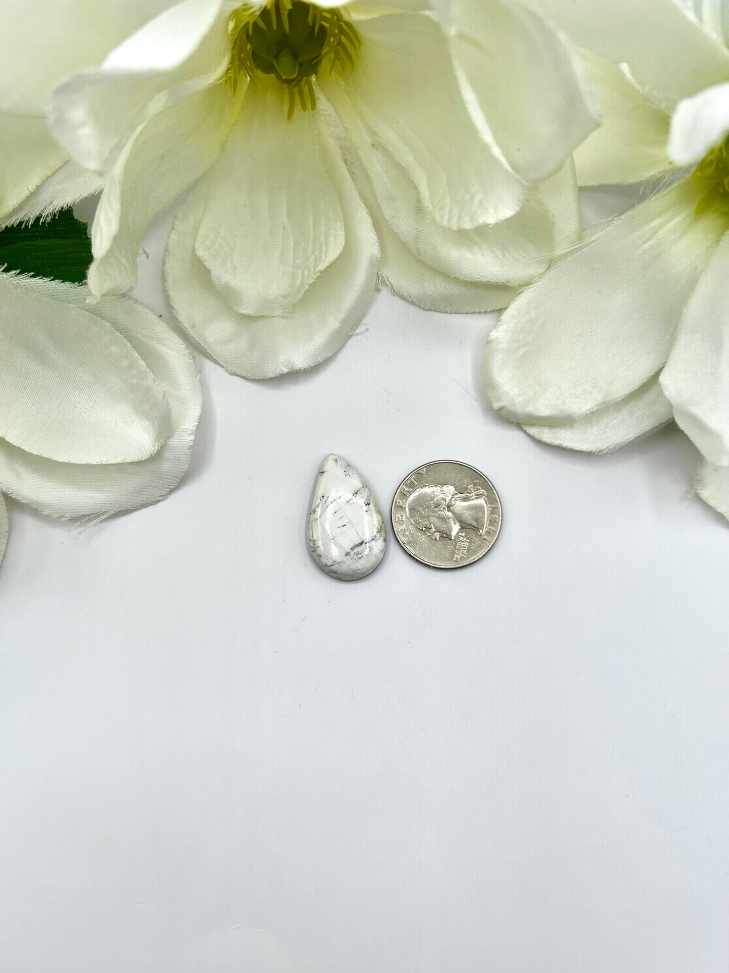 White Buffalo Cabs