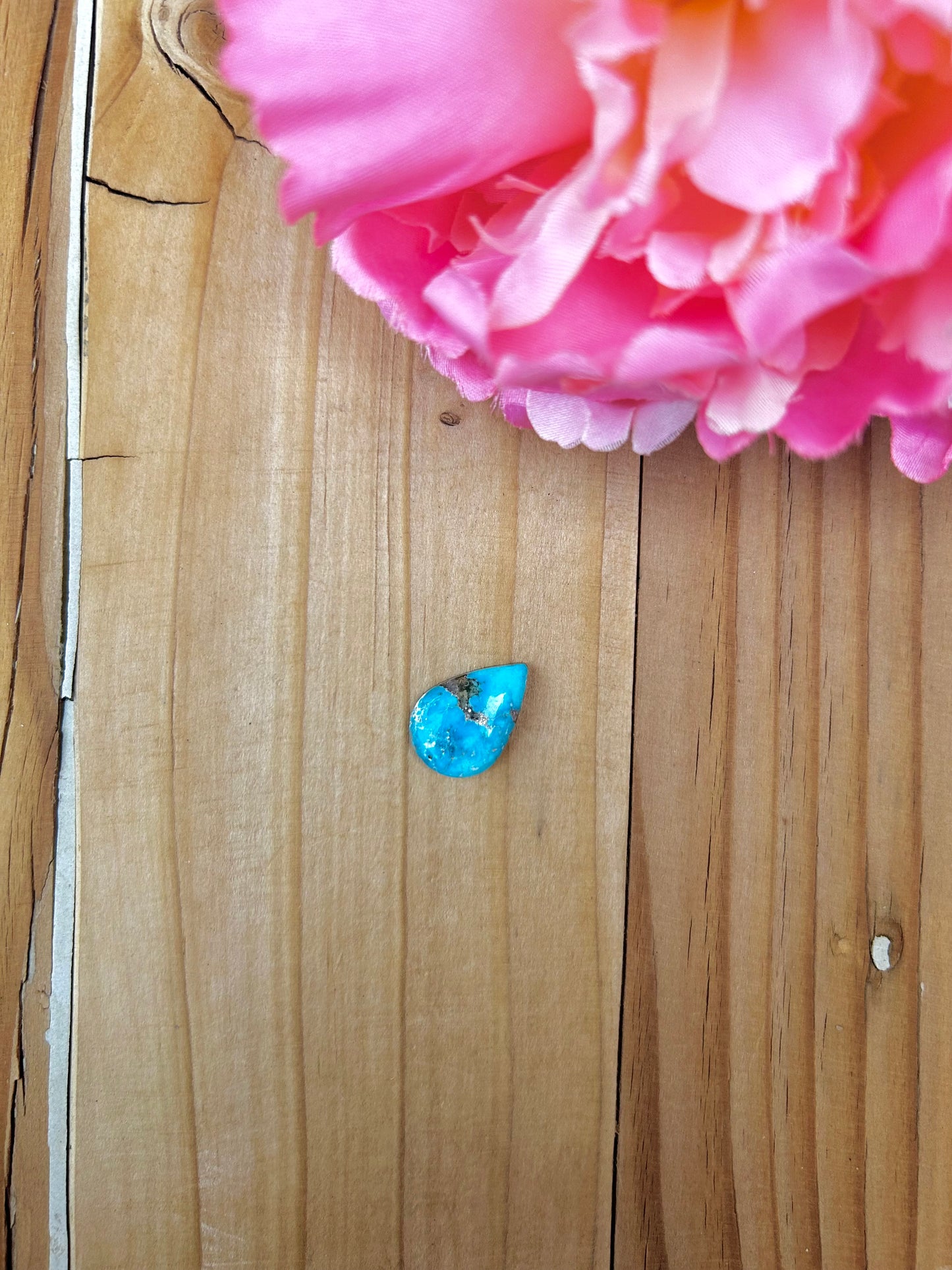 Blue Bird Turquoise Cabs