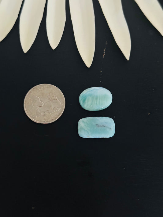 Larimar Cabs
