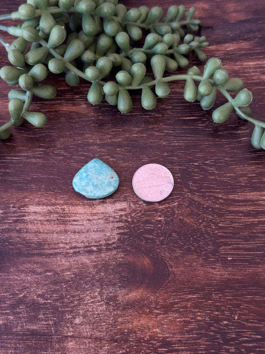 Kingman Turquoise Cab