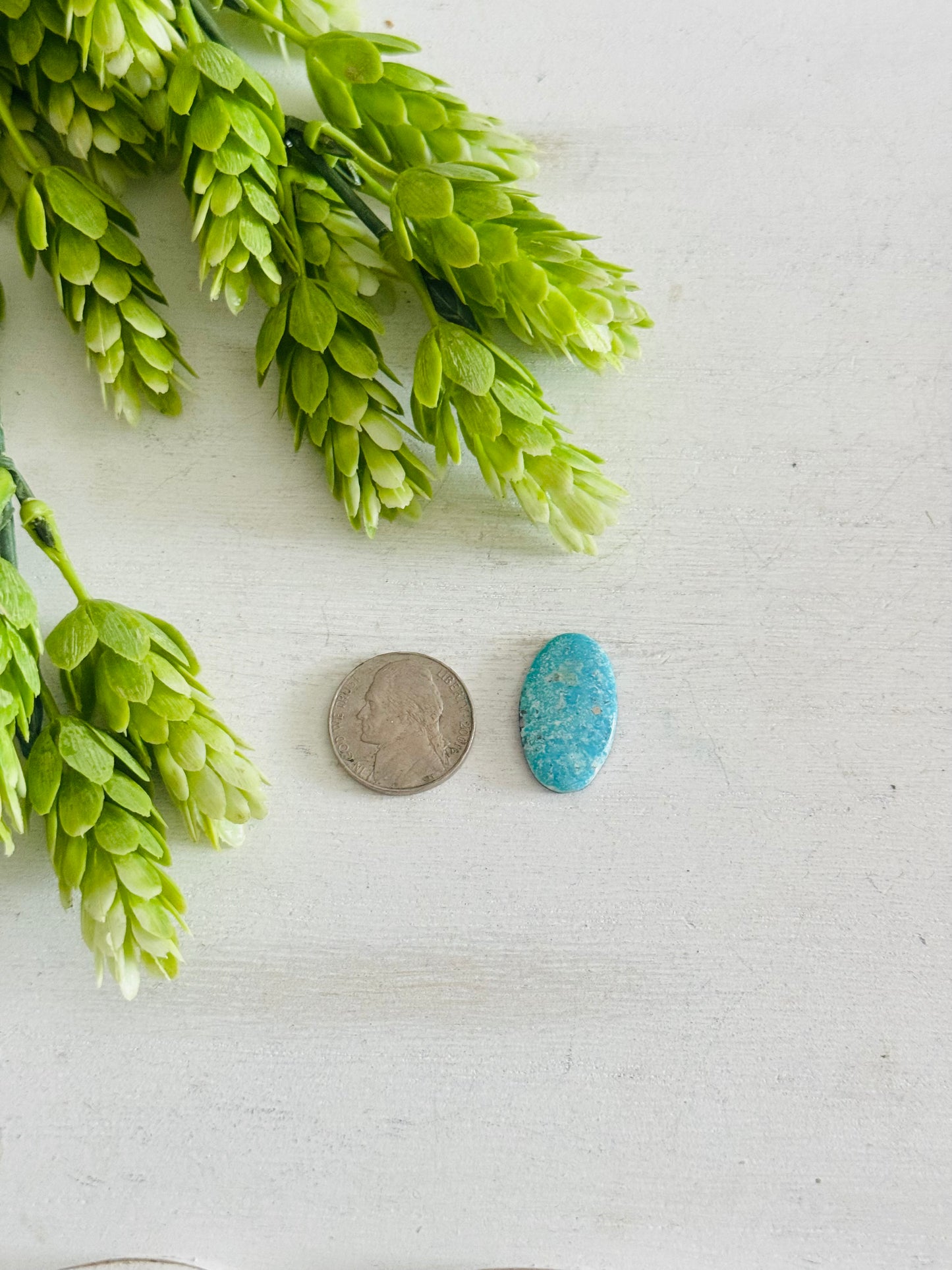 Blue Bird Turquoise Cab