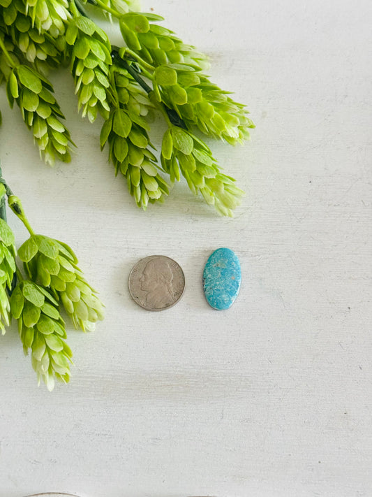Blue Bird Turquoise Cab