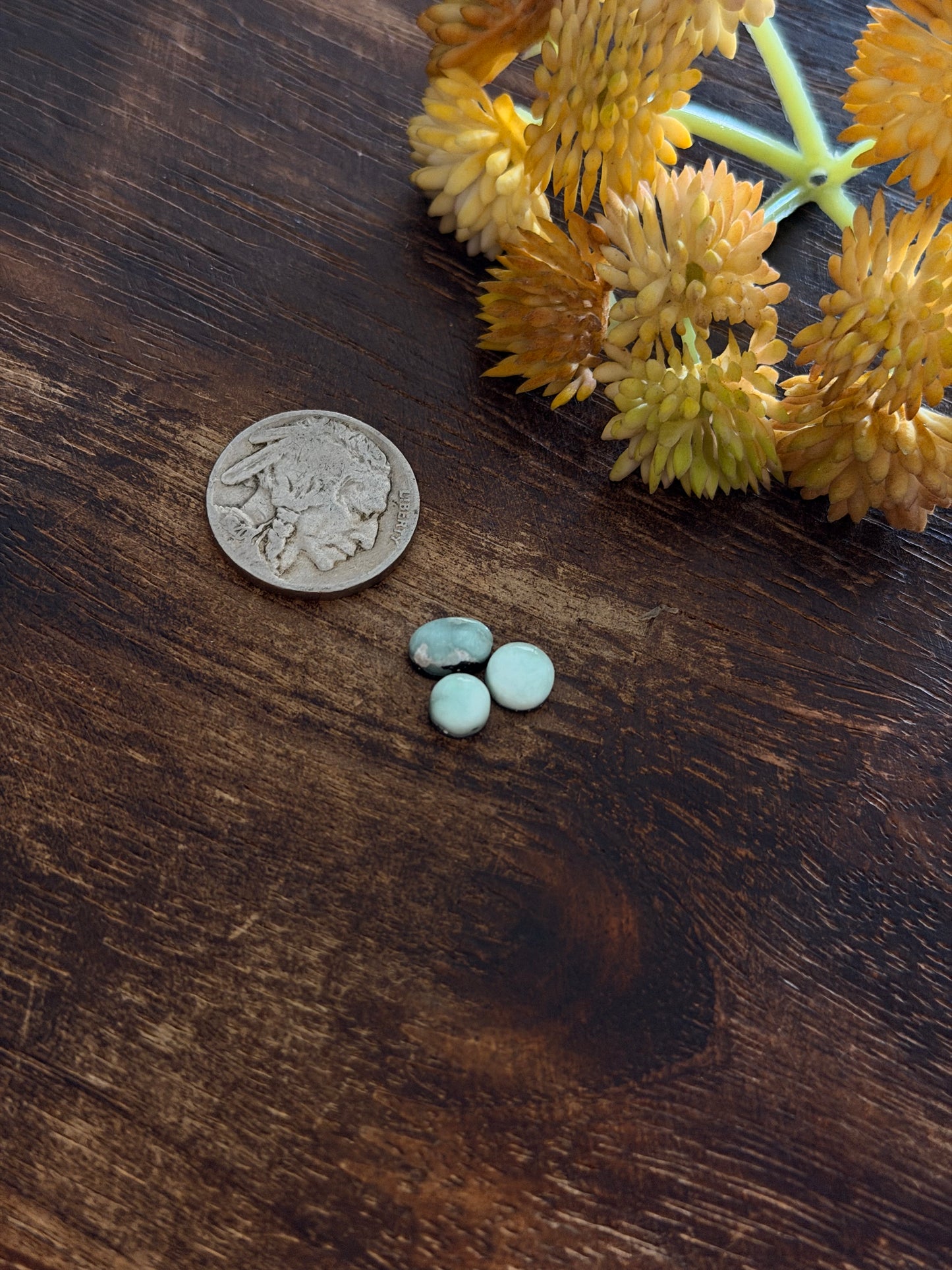 Paloma Variscite Cabs