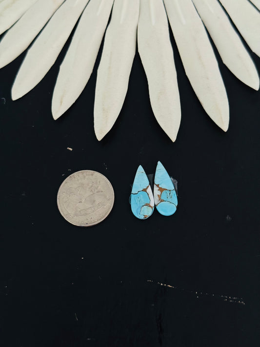 Cotton Candy Dahlia Composite Matching Earring Cabs