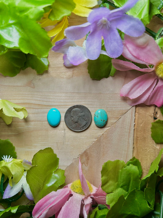 Kingman Turquoise Cabs