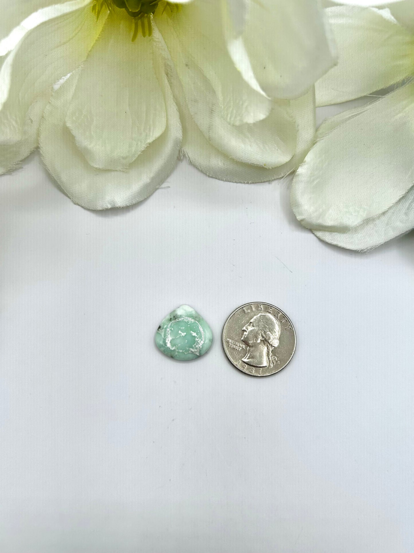 Paloma Variscite Cabs