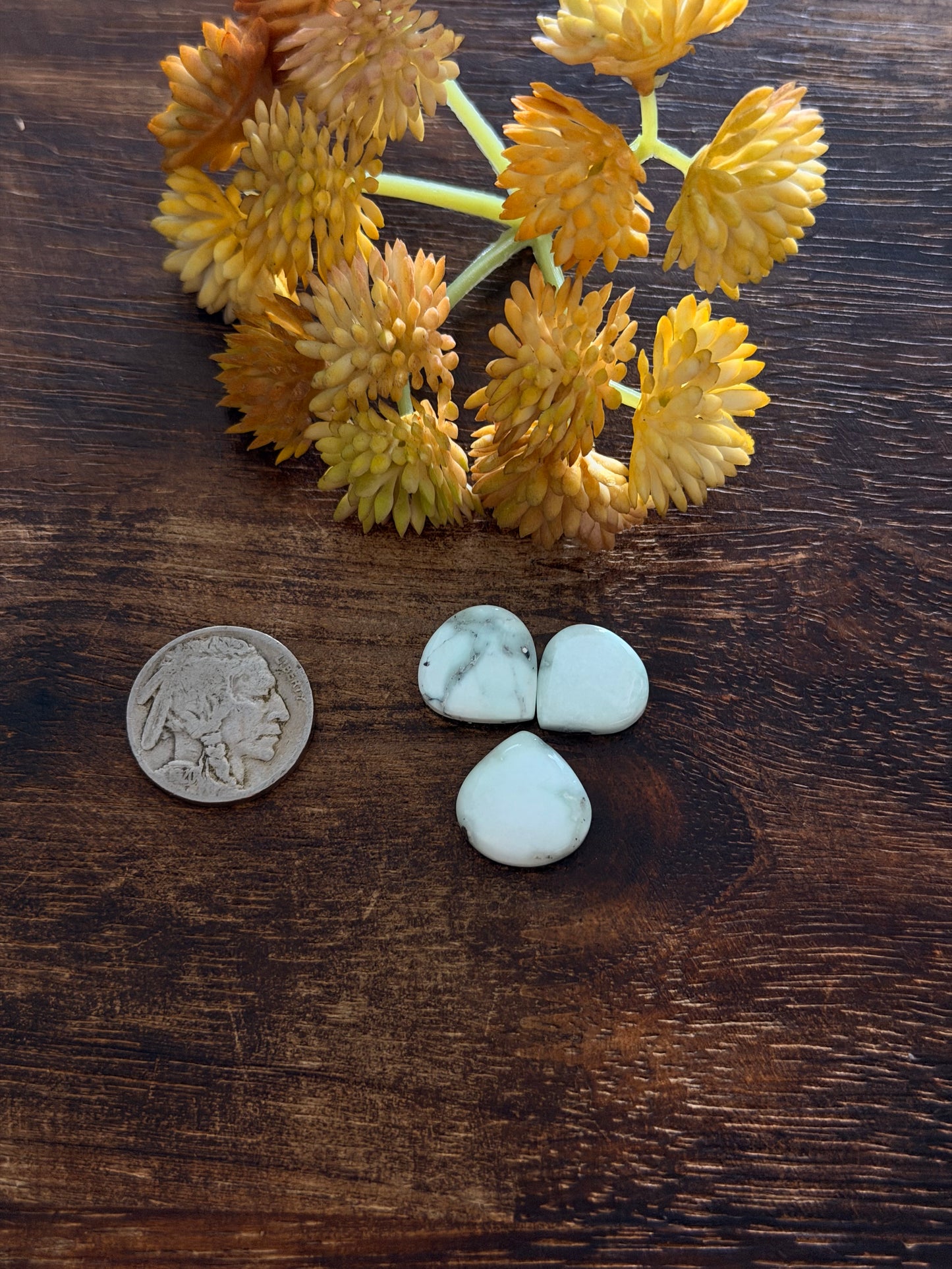 Paloma Variscite Cabs