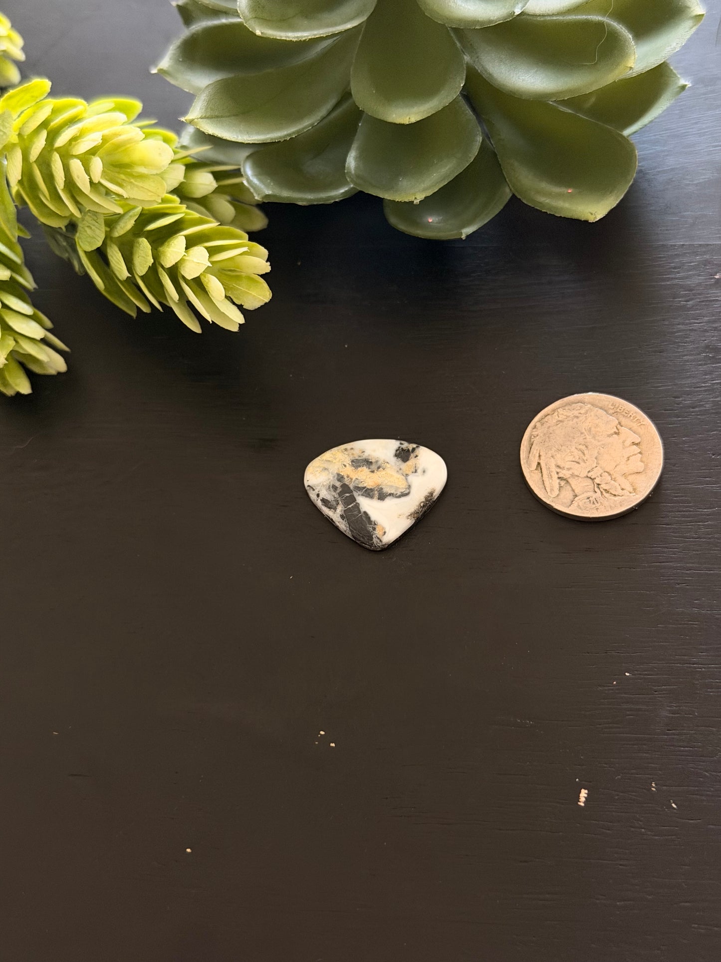 White Buffalo Cab