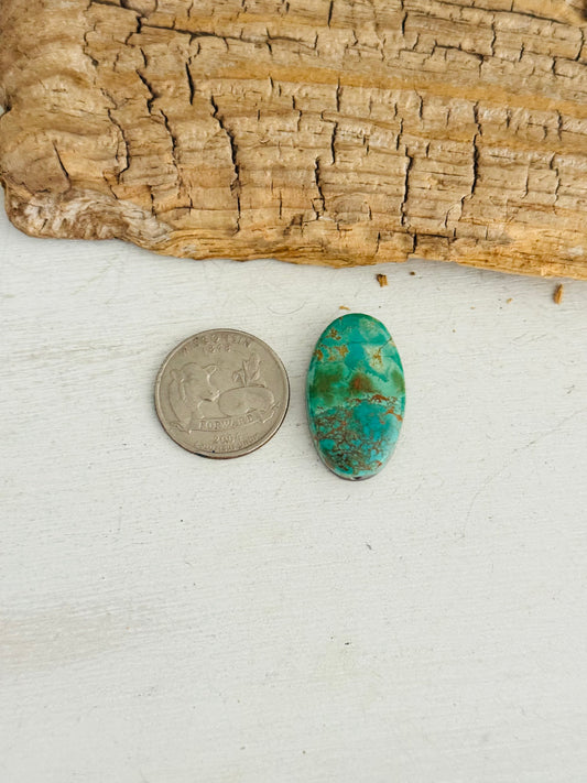 Natural Kings Manassa Turquoise Cab