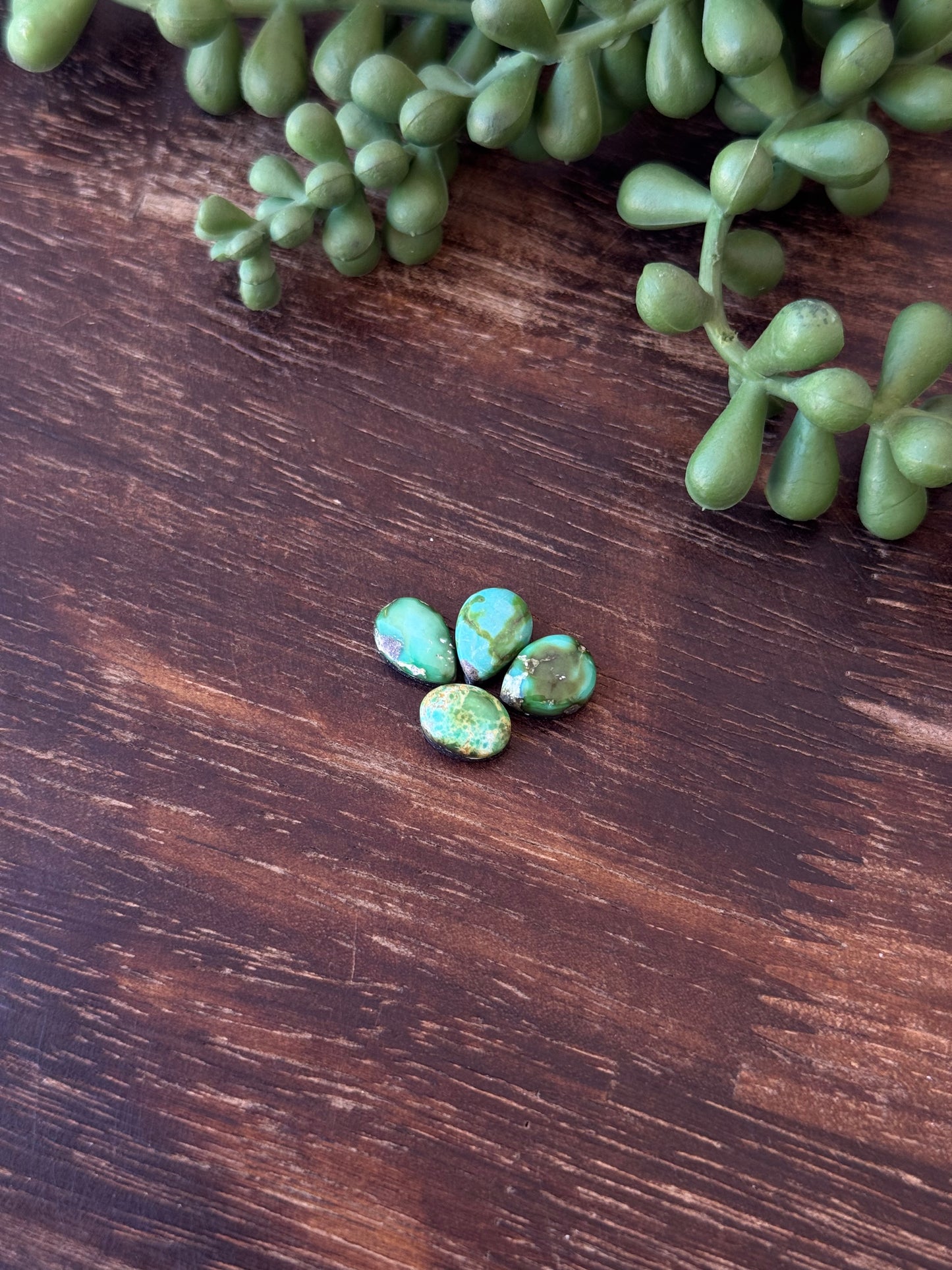 Sonoran Mountain Turquoise Cabs