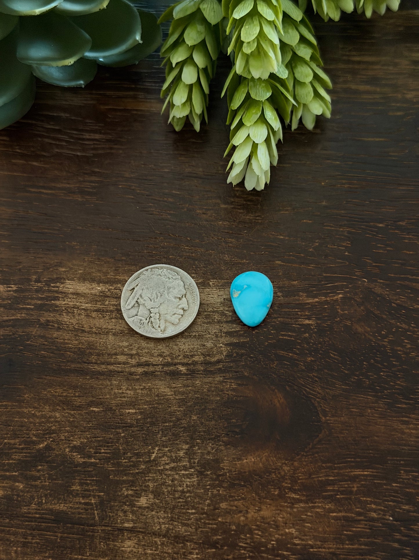 Blue Bird Turquoise Cab