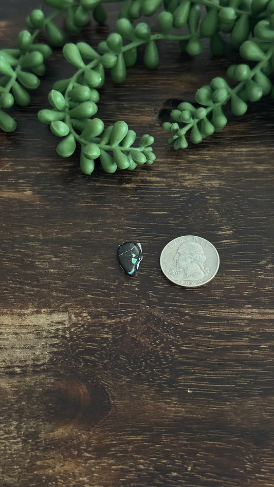 Black Jack Turquoise Cab