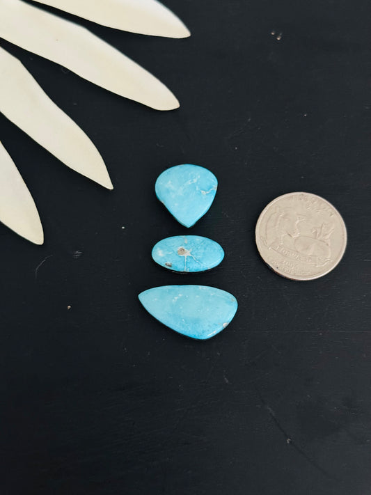 Blue Bird Turquoise Cabs
