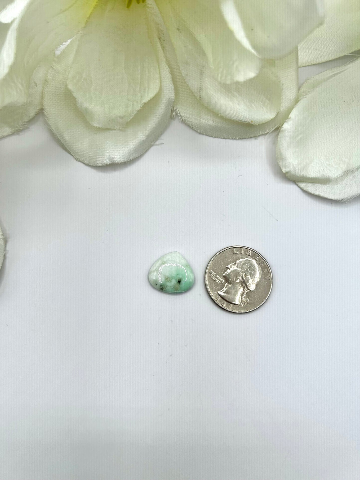 Paloma Variscite Cabs