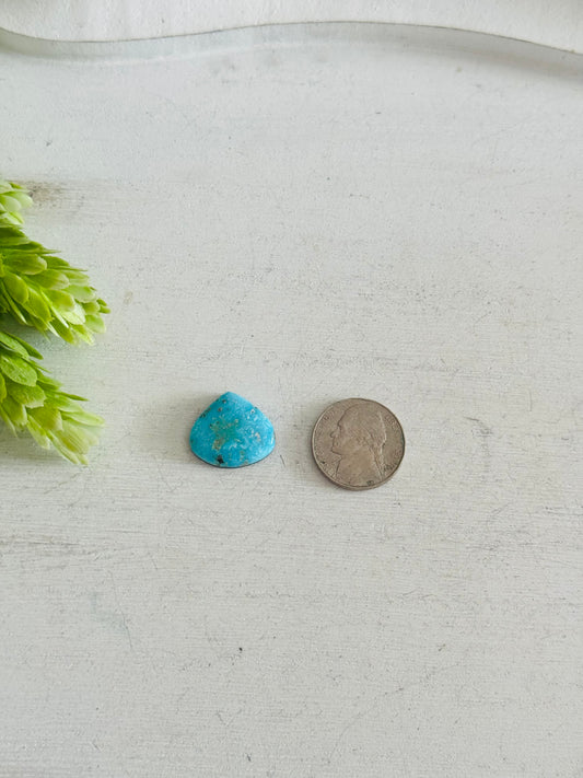 Blue Bird Turquoise Cab