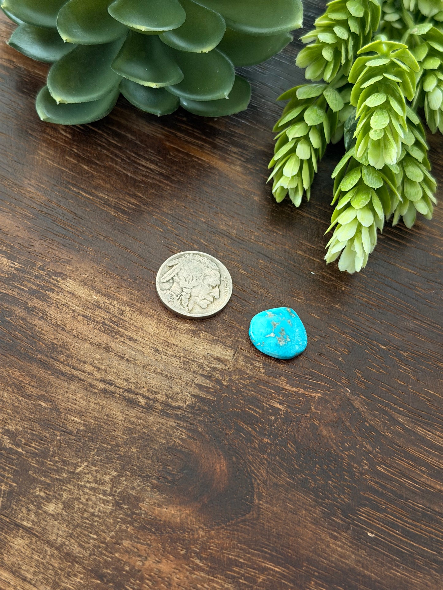Blue Bird Turquoise Cab