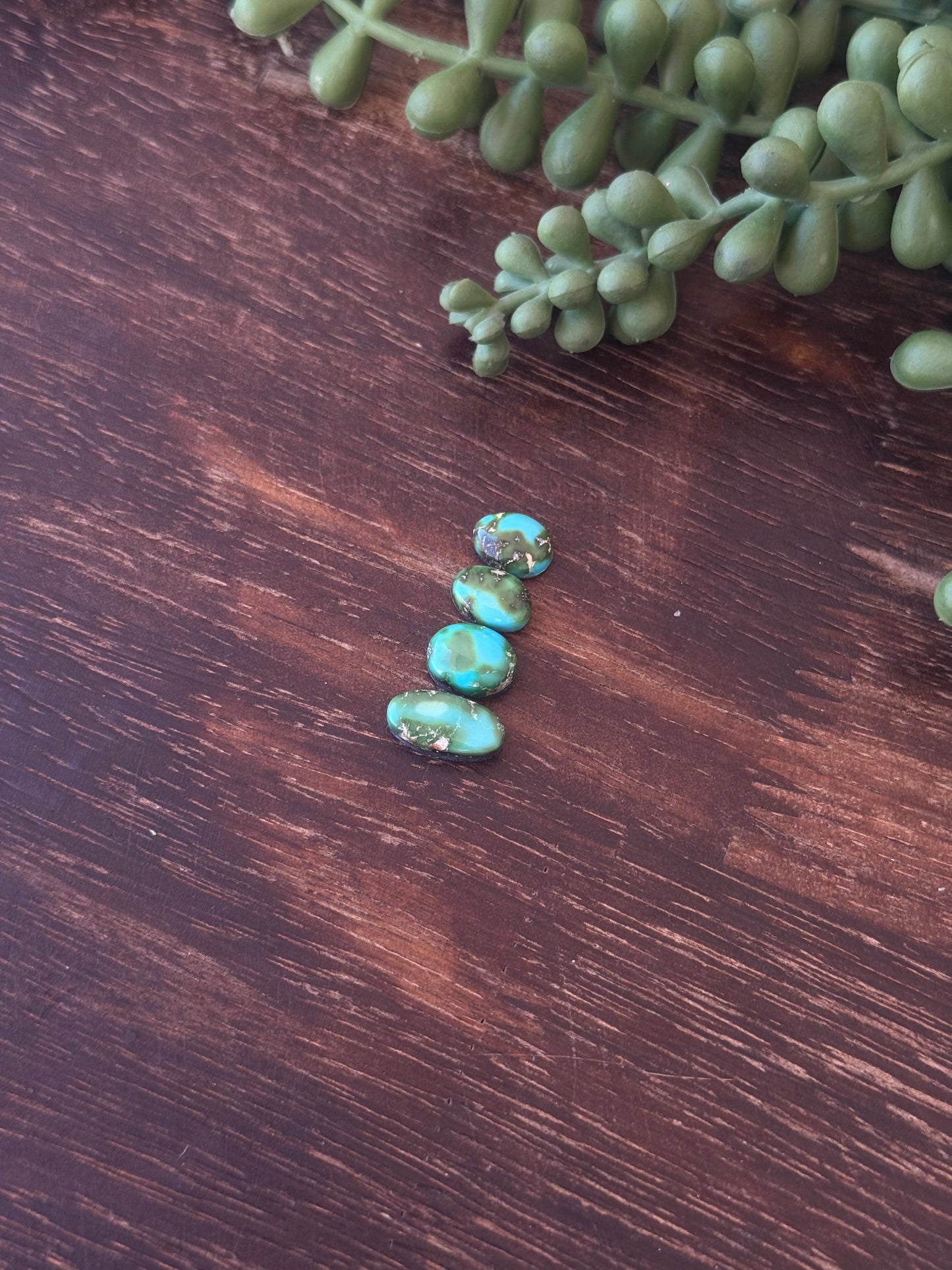 Sonoran Mountain Turquoise Cabs