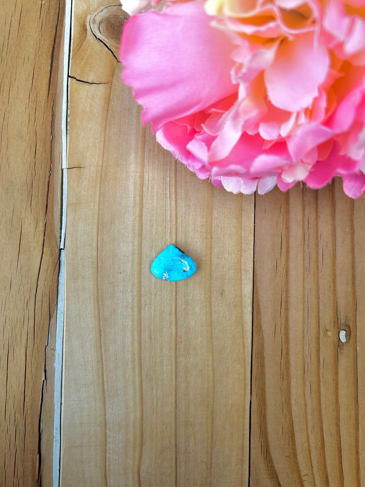 Blue Bird Turquoise Cabs