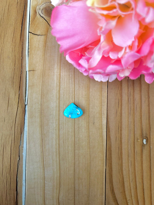 Blue Bird Turquoise Cabs