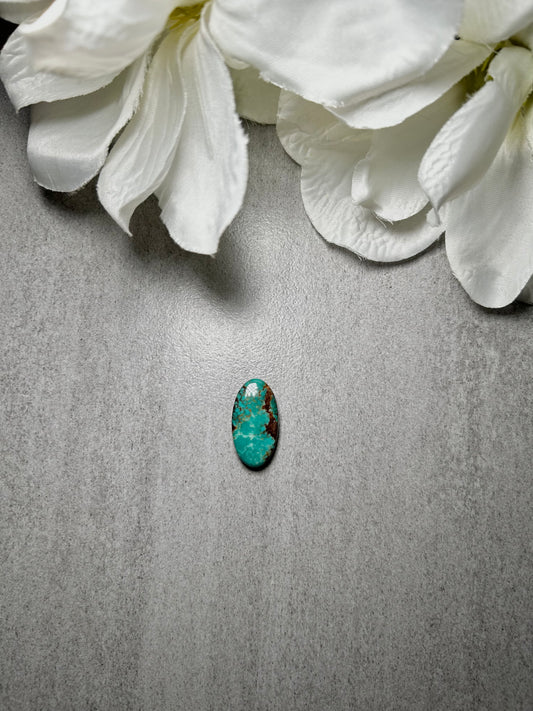 Kingman Turquoise Cab