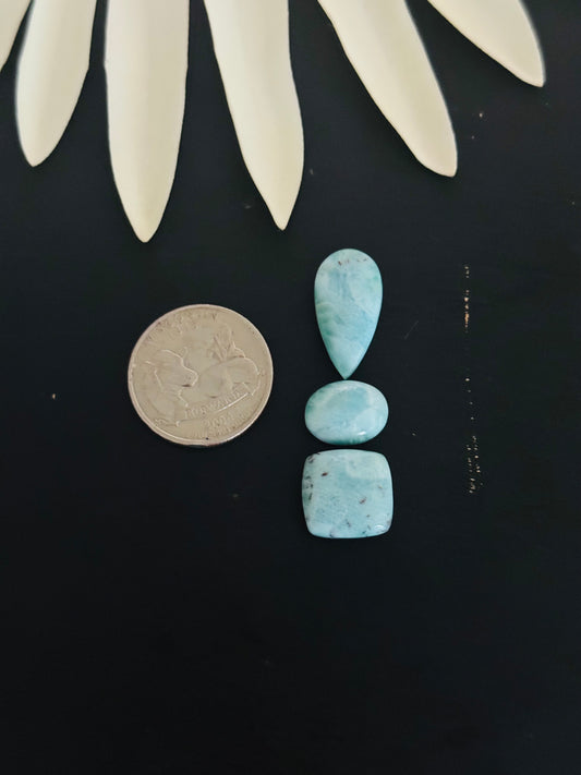 Larimar Cabs