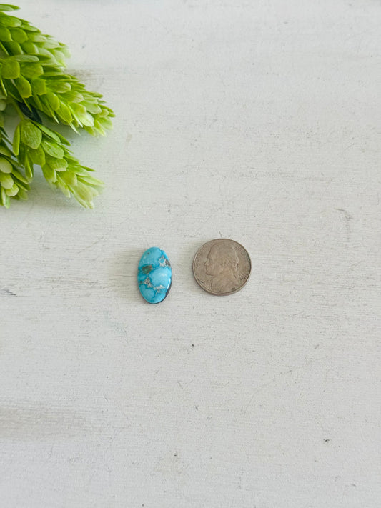Blue Bird Turquoise Cab