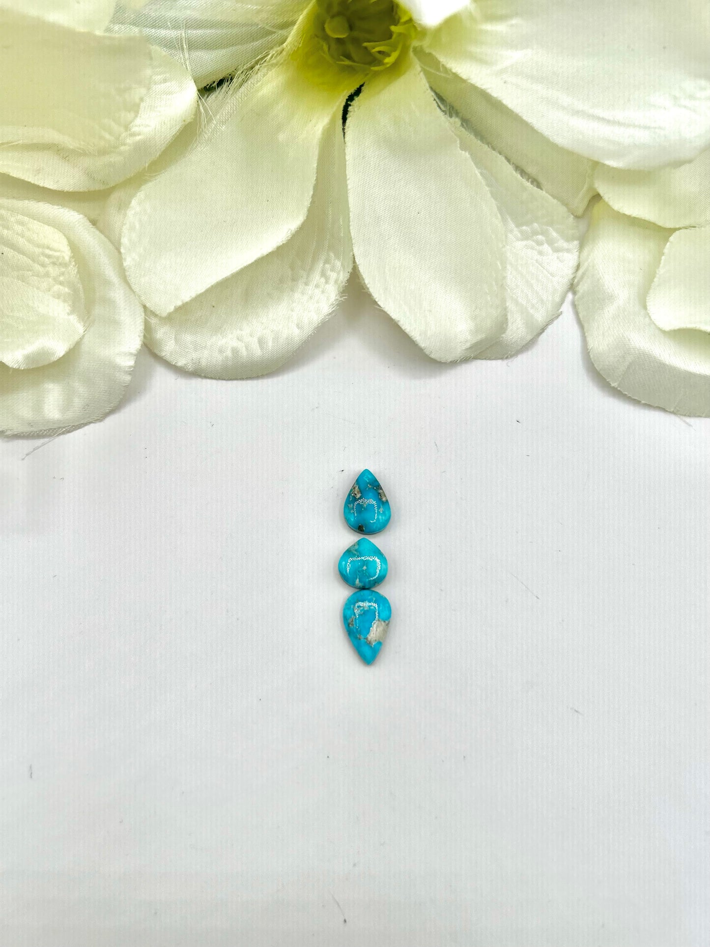 Blue Ridge Turquoise Cabs