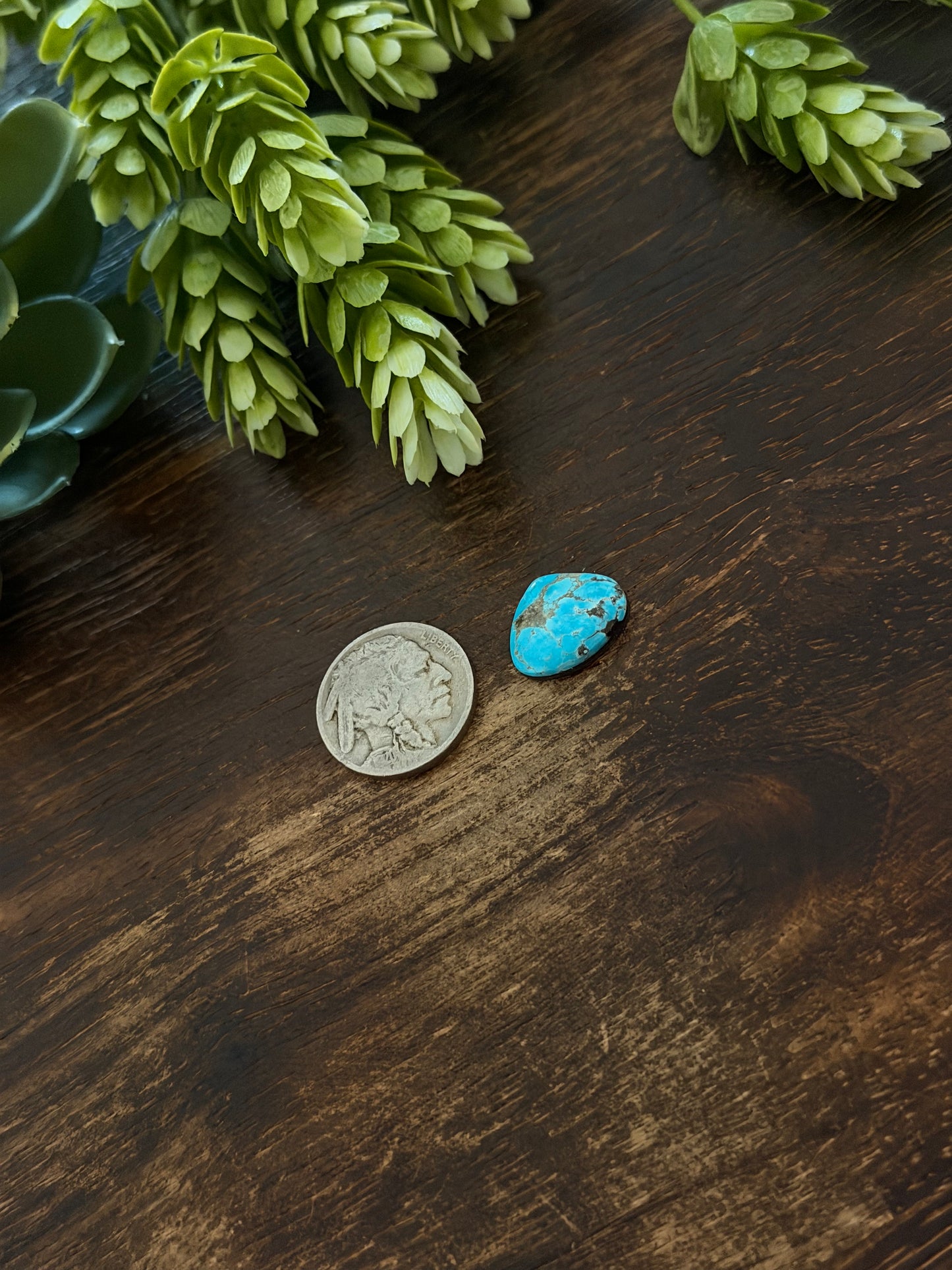 Blue Bird Turquoise Cab
