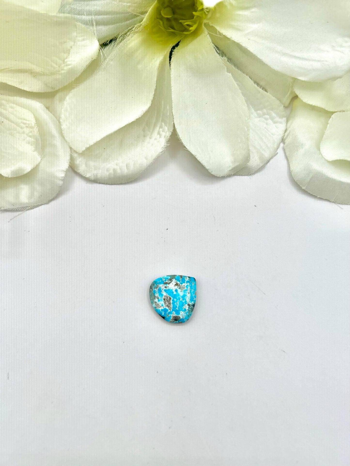 Blue Ridge Turquoise Cabs