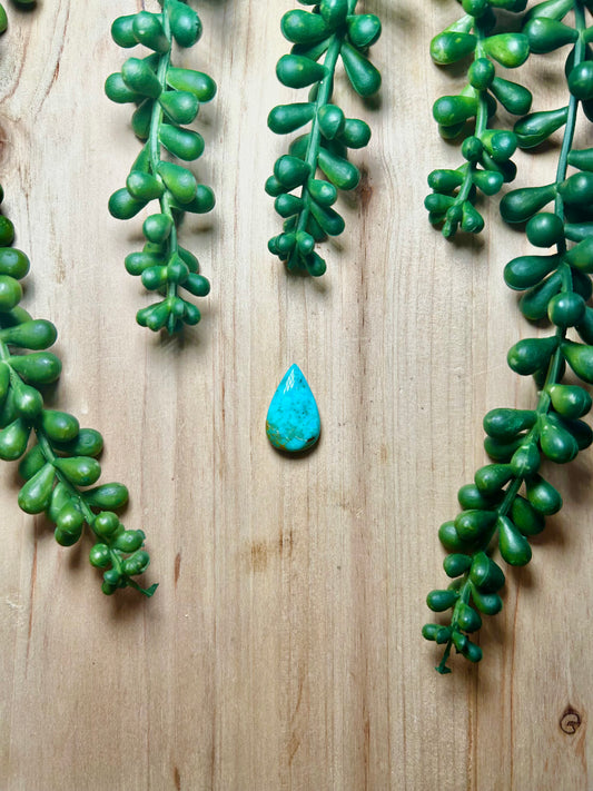 Kingman Turquoise Cab