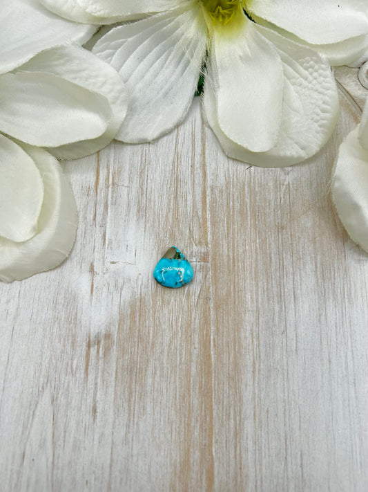 Blue Ridge Turquoise Cab