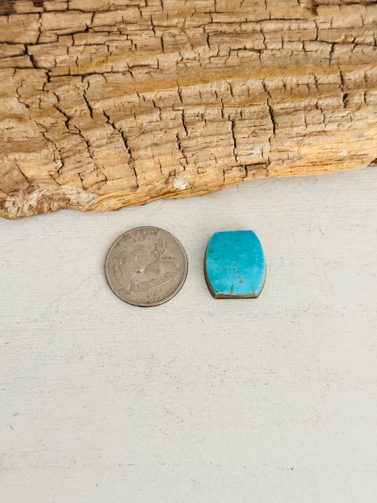 Natural Kings Manassa Turquoise Cab