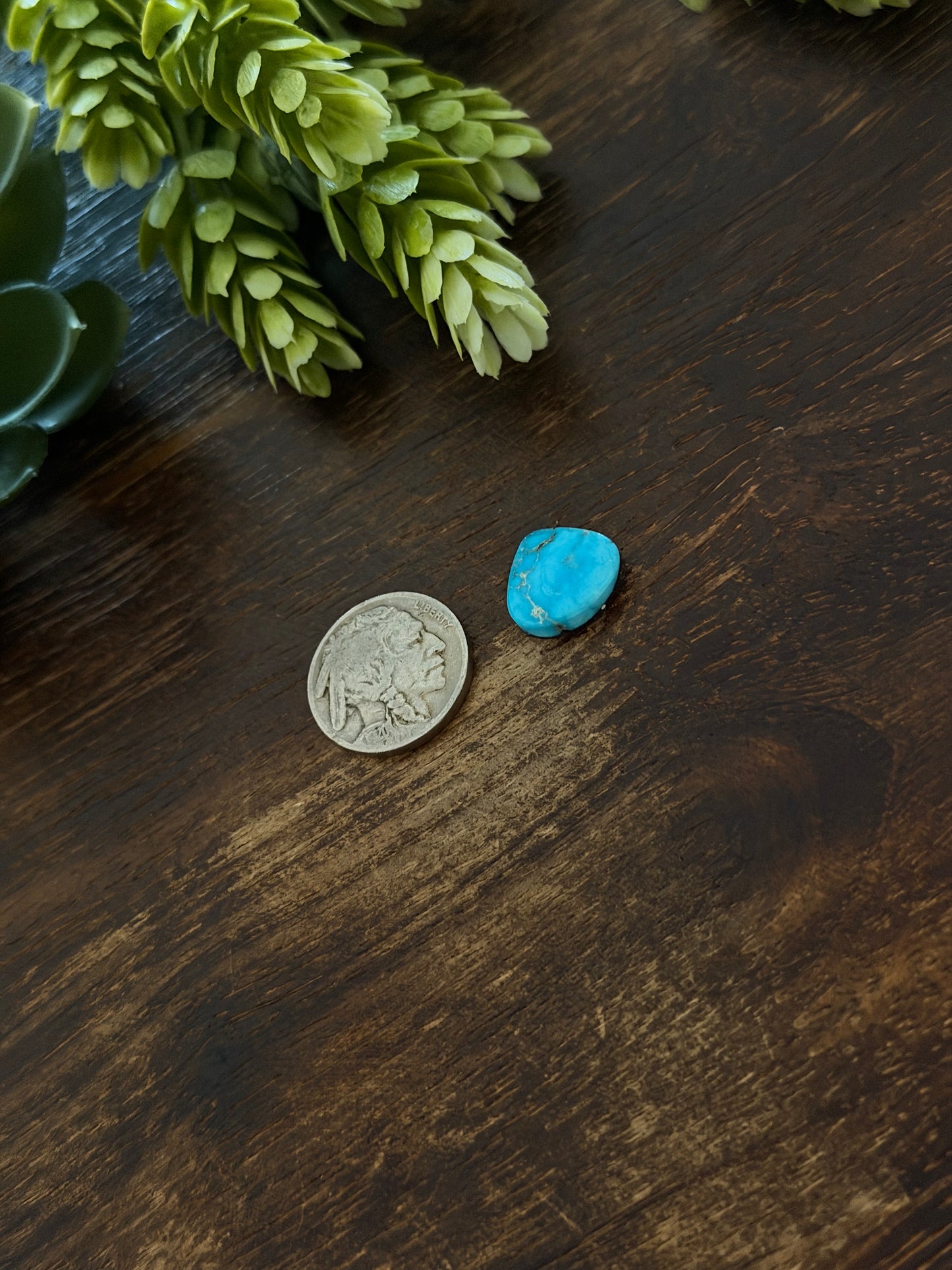 Blue Bird Turquoise Cab