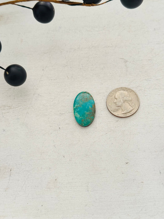 Kingman Turquoise Cab