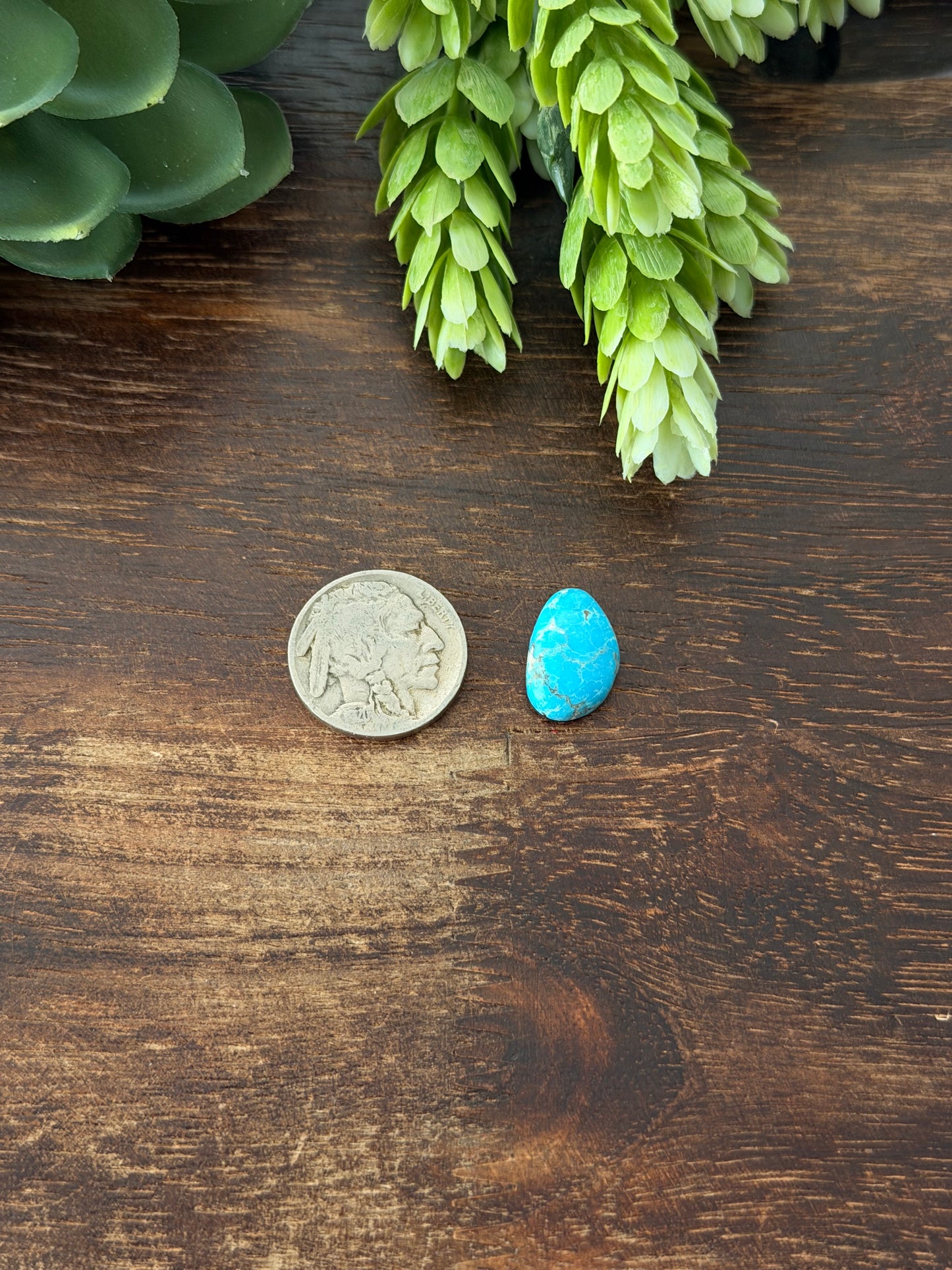 Blue Bird Turquoise Cab