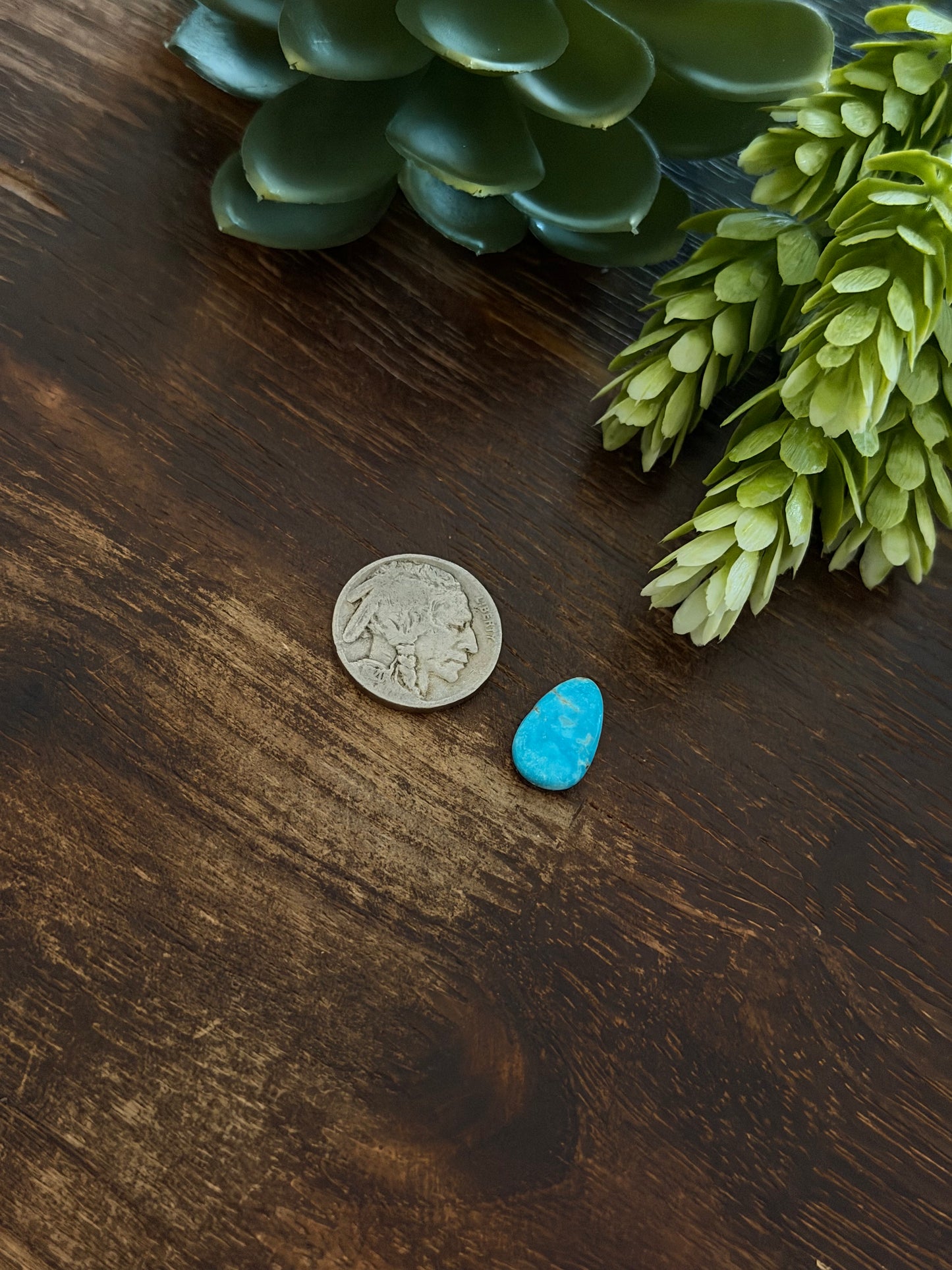Blue Bird Turquoise Cab