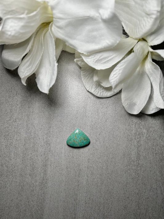 Kingman Turquoise Cab