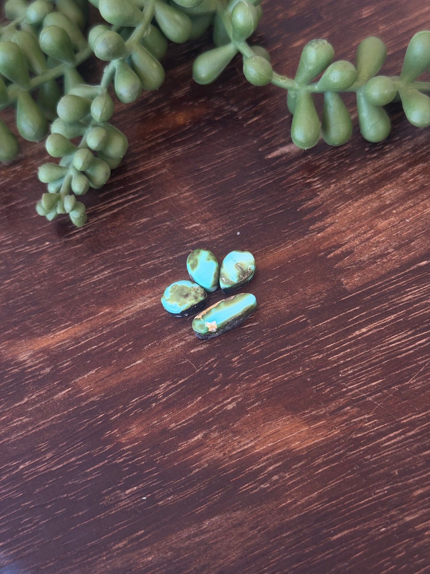 Sonoran Mountain Turquoise Cabs