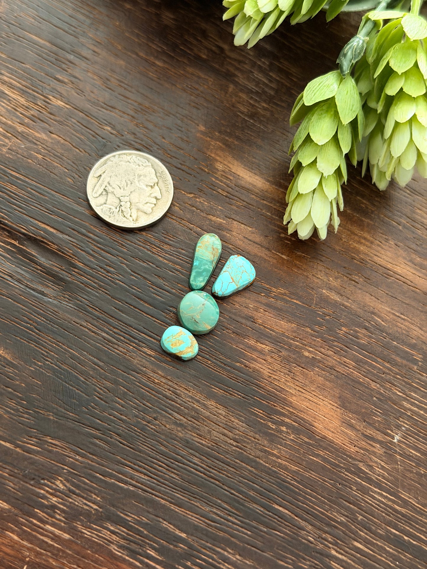 Evans Turquoise Cabs